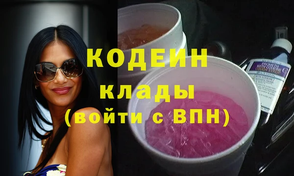 индика Балабаново