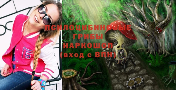 индика Балабаново