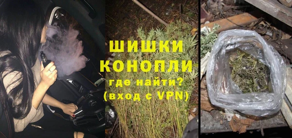 индика Балабаново
