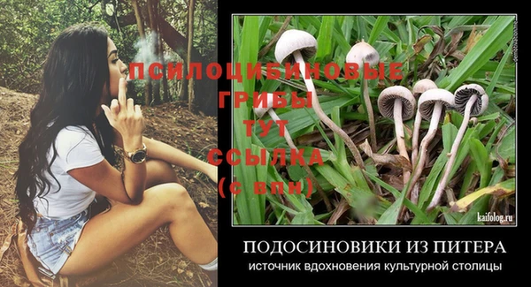 индика Балабаново