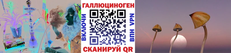 Галлюциногенные грибы Psilocybine cubensis Бор