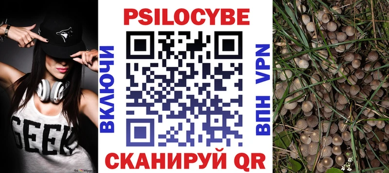 Галлюциногенные грибы Psilocybe  Бор 